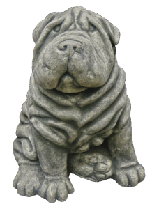 PR 2025-08 AMS Pixabay