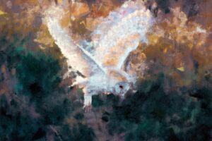 PR 2026-04 AMS Pixabay