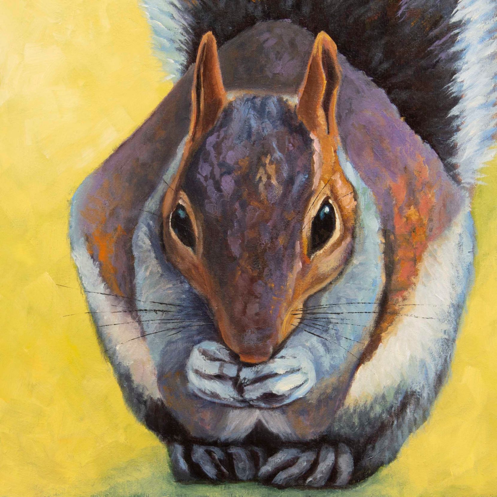 PR 2026.02 CatherinePurdy SquirrelSnack