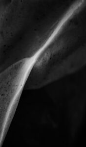 PR 2026.05 Meagan Samuel