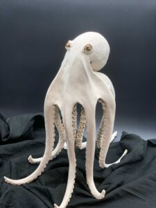 PR 2026.08 Loving Harding 3