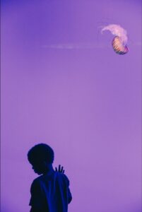 2026-01 Andrii Stoianov – Friends